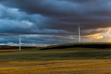 wind turbines farm