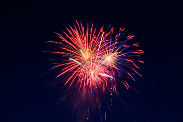 Festive fireworks in the black sky.