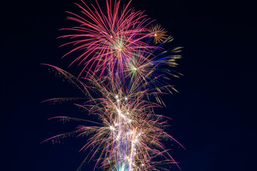 Festive fireworks in the black sky.