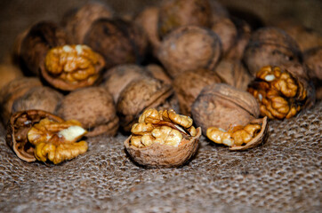 Fototapeta na wymiar Walnuts, whole and split, lie on a jute background, a useful source of proteins and fats in nutrition