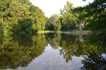 Glarieta, mała biała na starym stawie parkowym, Polska © Ewa
