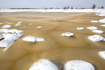 snow and ice in forest at winter