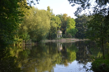 Glarieta, mała biała na starym stawie parkowym, Polska © Ewa