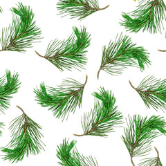 Top view flat lay pine tree spruce seamless repeat pattern on light green background.