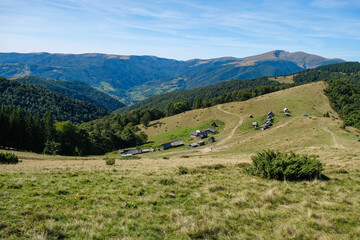 Fototapeta na wymiar Barns for cows and sheep on the meadow Menchul. Montenegrin ridge, Carpathians, Ukraine. 