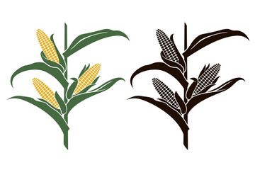 collection of corn stalk illustrations isolated on white background