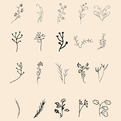 Doodle simple collection of 20 hand-drawn floral elements. Big collection of 20 hand-drawn branches. Big floral botanical set. Isolated