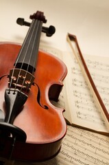 Fototapeta premium Violin.