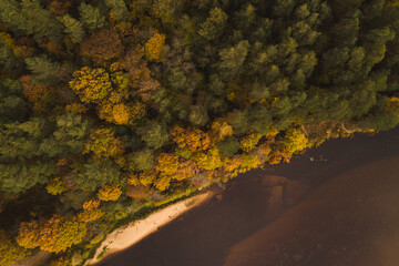 view from above drone shot of autumn fall cloudy day  forest woods park trees and river shore 