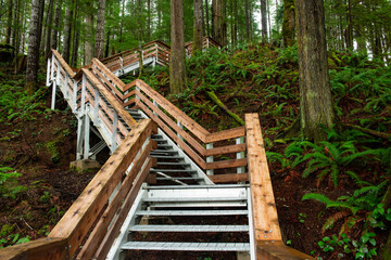 Contemporary stairway in Elk Falls Provincial Park in Campbell River in Canada - obrazy, fototapety, plakaty