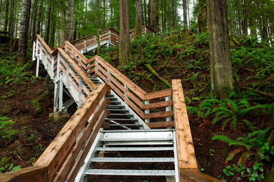 Contemporary stairway in Elk Falls Provincial Park in Campbell River in Canada