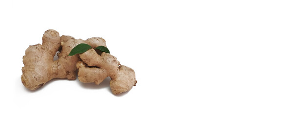Ginger root (Zingiber officinale) white background, copy space.