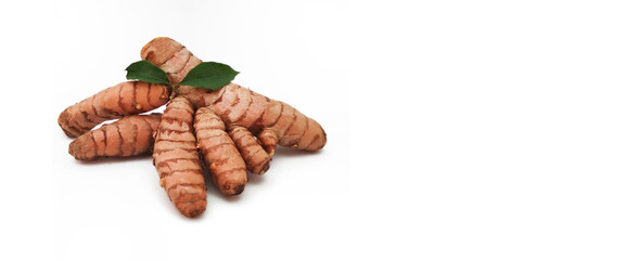 curcuma on white background, copy space