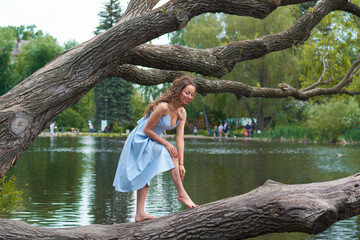 a girl in a blue dress stands on a tree above the lake.