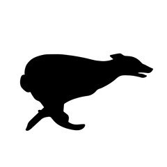 Silhouette of a running Greyhound dog. Agility illustration. Image of a relative of a wolf.