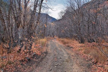 Slate Canyon hiking trail fall leaves mountain landscape view, around Slide Canyon, Rock Canyon and Provo, Wasatch Rocky mountain Range, Utah, United States. 