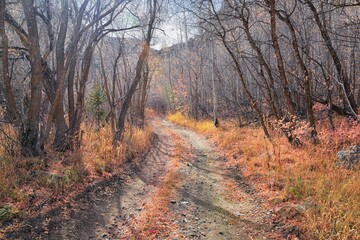 Slate Canyon hiking trail fall leaves mountain landscape view, around Slide Canyon, Rock Canyon and...