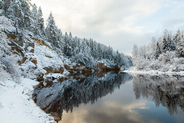 Gaujas National park Latvia Gauja river Erglu Cliffs sandstone walls snow covered trees in the winter reflection mirror nor frozen river