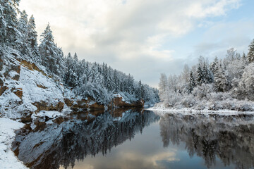 Gaujas National park Latvia Gauja river Erglu Cliffs sandstone walls snow covered trees in the winter reflection mirror nor frozen river