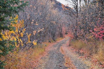 Slate Canyon hiking trail fall leaves mountain landscape view, around Slide Canyon, Rock Canyon and...
