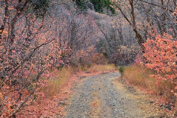 Slate Canyon hiking trail fall leaves mountain landscape view, around Slide Canyon, Rock Canyon and...