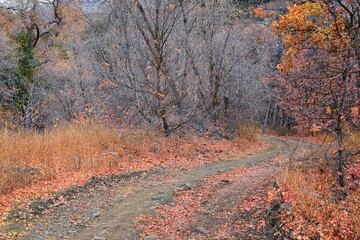 Slate Canyon hiking trail fall leaves mountain landscape view, around Slide Canyon, Rock Canyon and...