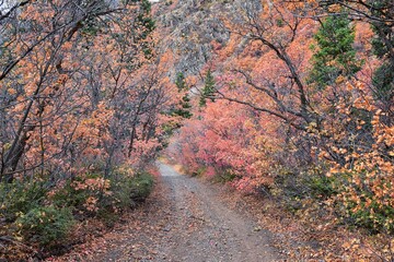 Slate Canyon hiking trail fall leaves mountain landscape view, around Slide Canyon, Rock Canyon and...