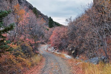 Slate Canyon hiking trail fall leaves mountain landscape view, around Slide Canyon, Rock Canyon and...