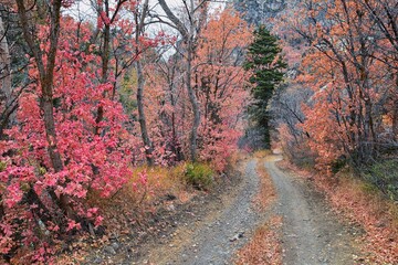 Slate Canyon hiking trail fall leaves mountain landscape view, around Slide Canyon, Rock Canyon and...