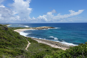 Naklejka premium plage de la pointe des chateaux ( Guadeloupe )