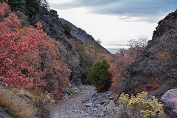 Slate Canyon hiking trail fall leaves mountain landscape view, around Slide Canyon, Rock Canyon and Provo, Wasatch Rocky mountain Range, Utah, United States. 