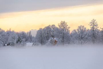 snow covered trees in the forest winter scenery mist fog foggy field with a house