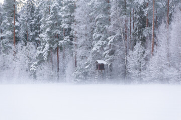 snow covered trees in the forest winter scenery mist fog foggy field with a watchtower for hunters