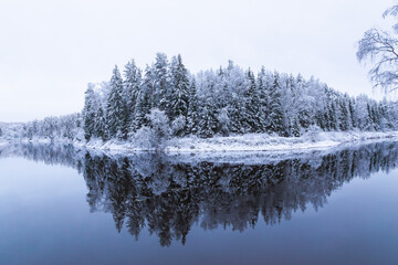snow covered trees in winter winter scenery over the Gauja river Latvia longest river reflection mirror cloudy not frozen water