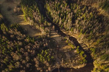 drone shot of a river in the national parks forest Amata river view from above in a sunny day tree shadows Zvartes rock