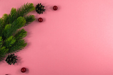 Winter compositions, concept with fir branches, red berries and cones, pink background, top view, flat lay, copy space