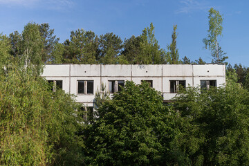 Fototapeta na wymiar Trees grow on the roof of abandoned house in soviet ghost town Chernobyl-2
