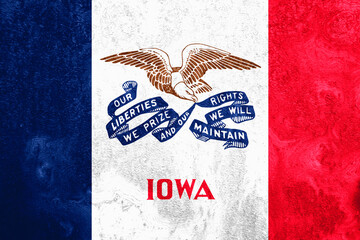 Iowa State Flag on rust