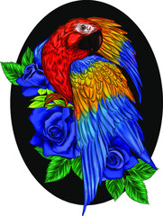 head parrot macaw yellow red  blue vector illustration © Снежана Дашкевич