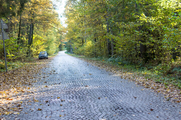 The foot road combined from cobble-stones (autumn season)