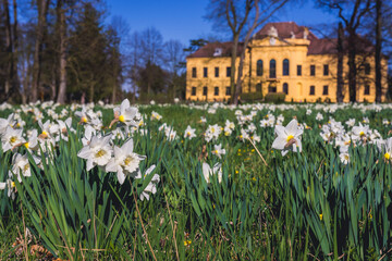 Flowers in front of former imperial residence in Eckartsau town in Austria