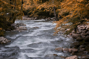 Flowing Stream in the Mountains 