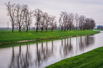 Green banks of River Morava in Uherske Hradiste, small city in Czech Republic