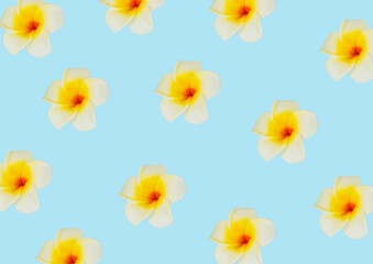 background banner pattern with flowers mango