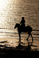 silhouette of a horse on the water