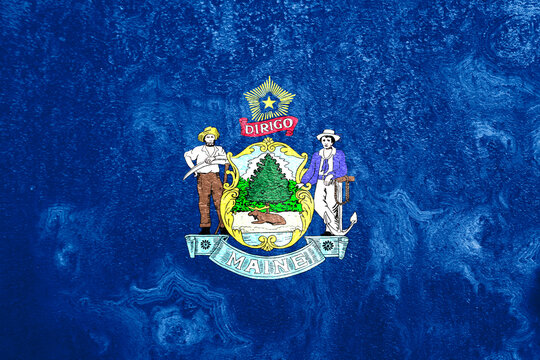 Maine State Flag Pop Art