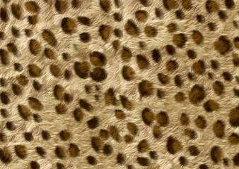 leopard skin pattern	
