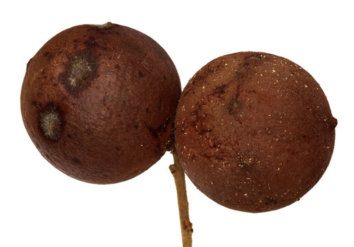 Gales Images Browse 41,295 Stock Photos, Vectors, and Video Adobe Stock