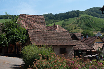 Fototapeta na wymiar Albé, Alsace