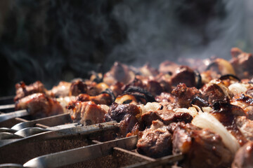 Shish kebab roasting on the grill. BBQ party. Close-up.